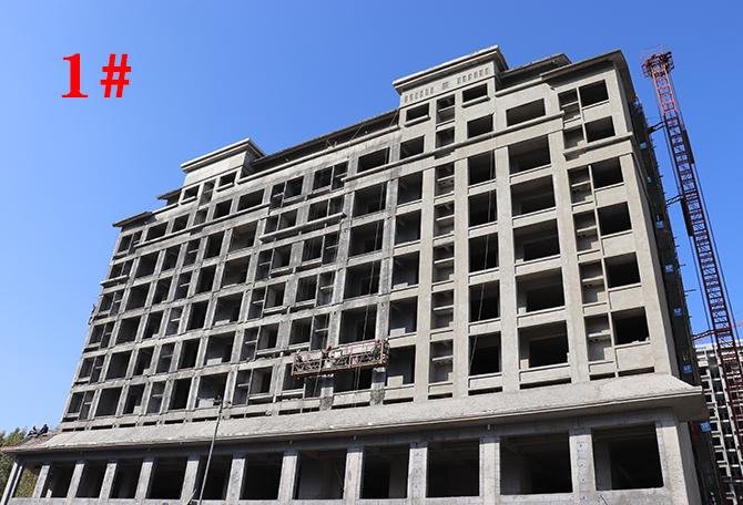 平輿最新樓盤市場(chǎng)現(xiàn)狀與前景展望，深度解析市場(chǎng)趨勢(shì)與發(fā)展前景展望