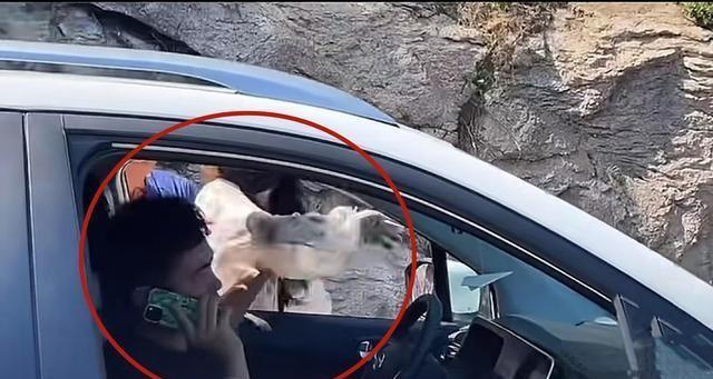 奔馳最新廣告，小明的溫情之旅啟程了