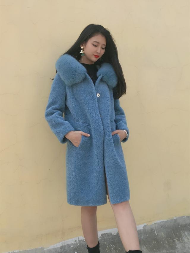 三七花最新價格揭秘，溫馨小故事中的尋找之旅