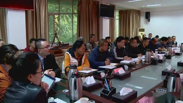 德昌最新新聞，擁抱自然，心靈寧靜之旅啟程