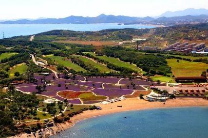 心悅海島探險(xiǎn)攻略，最新任務(wù)指南與探險(xiǎn)體驗(yàn)