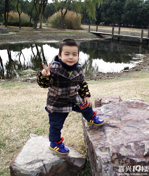 小六最新，時(shí)代背景下的重要印記與事件回顧