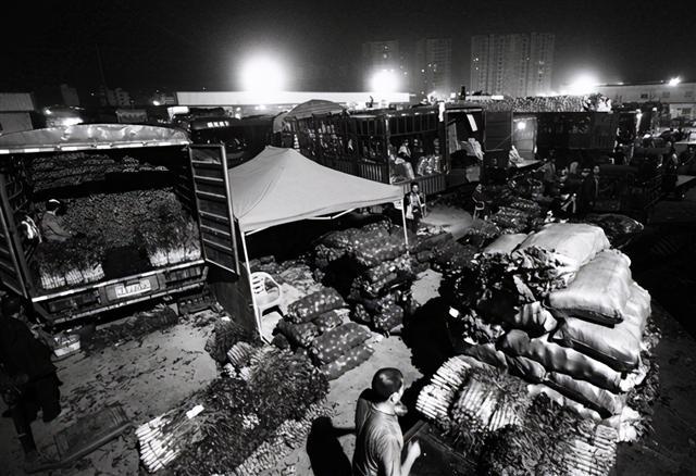 掌握新技能與完成任務(wù)，最新趨勢下的步驟指南