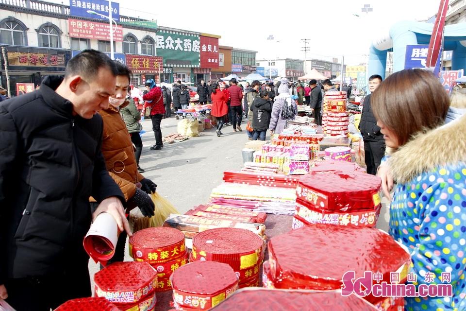 淘元素最新，淘淘的奇妙冒險(xiǎn)之旅與友情的溫暖體驗(yàn)