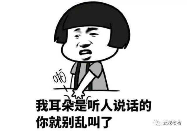 最新枕邊笑話，科技小寶貝，生活添樂(lè)趣
