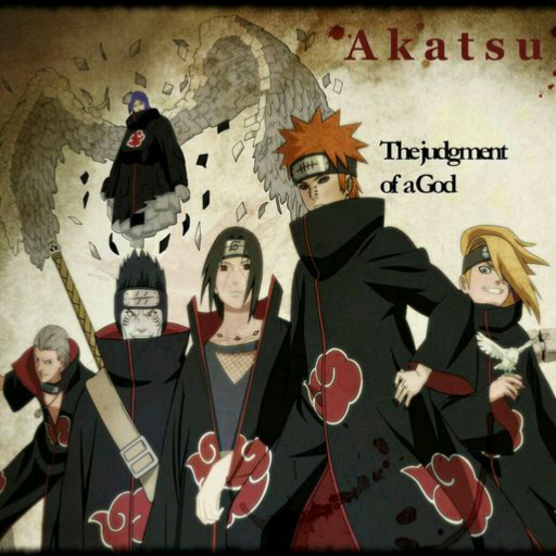 曉組織最新動態(tài)揭秘，探究其發(fā)展與影響