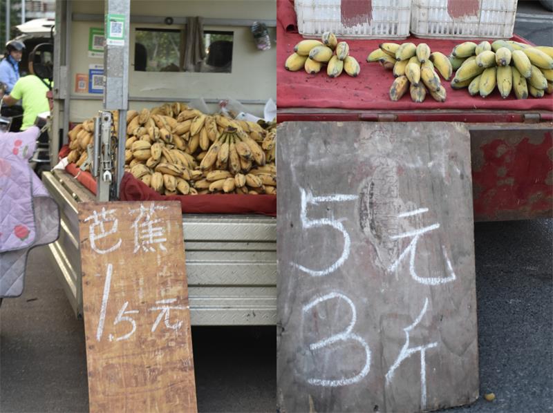 芭蕉最新價格，開啟心靈平靜的綠色之旅