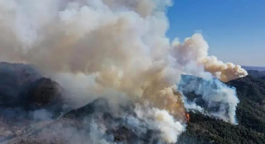 榆社山火防控指南，從初學(xué)者到進(jìn)階用戶的全步驟學(xué)習(xí)與防火任務(wù)實(shí)踐