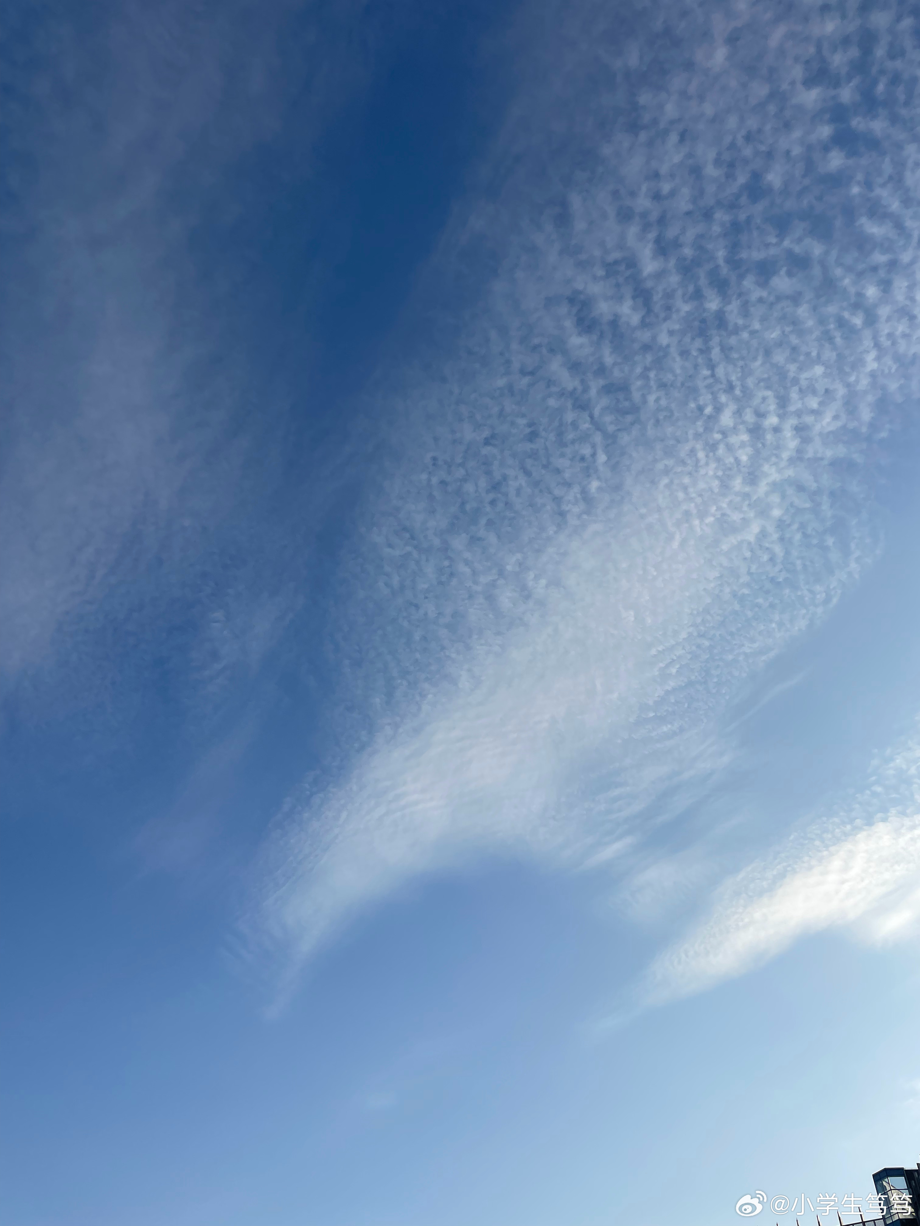 云飄飄最新，小巷深處的獨特風味美食體驗