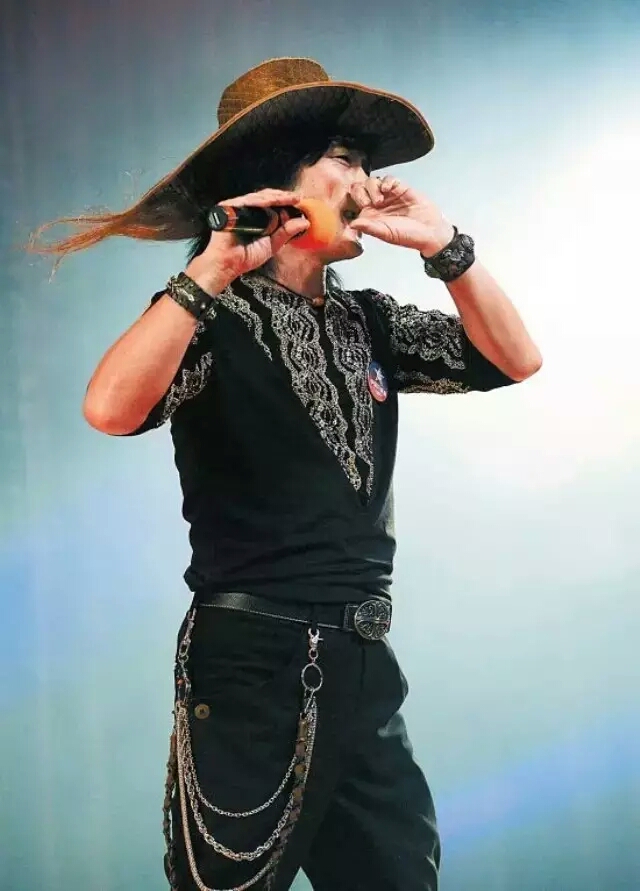 指哨最新，自然美景之旅，探尋內(nèi)心平靜與喜悅的旅程