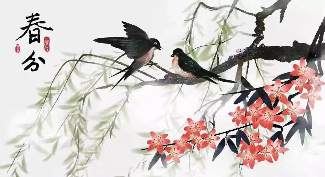 春分最新圖片，展現(xiàn)自然之美的瞬間