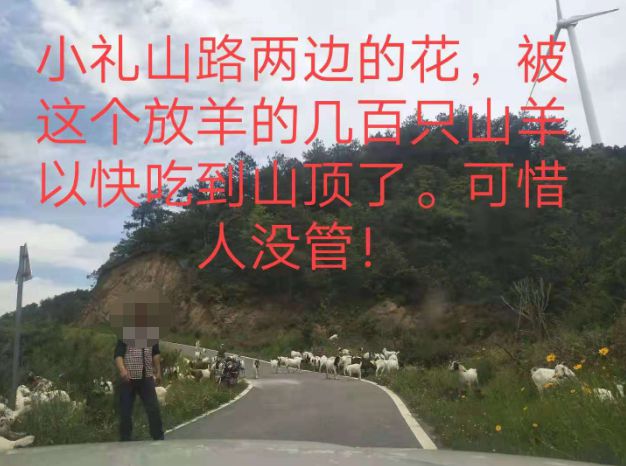 大悟最新路，探索未知，自信成就夢想之旅的啟程