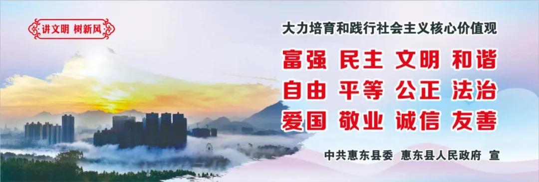惠州肺炎最新動態(tài)，小巷深處的獨特小店背后的故事