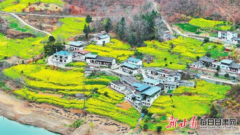 揭秘文縣，歷史背景、重大事件與時代地位全景展示