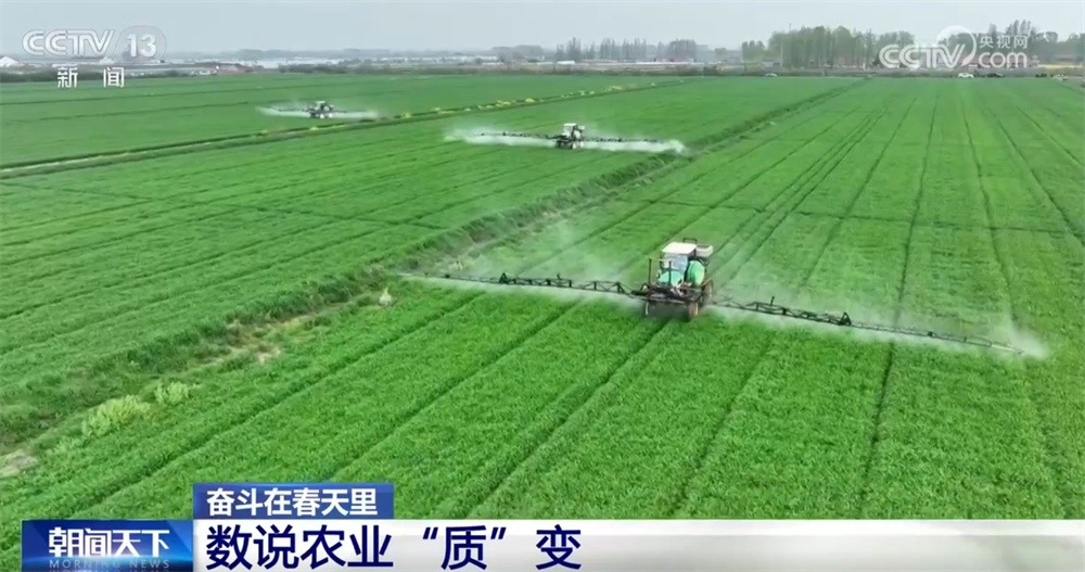 最新農(nóng)業(yè)農(nóng)村發(fā)展，播種希望，收獲自信與成就感