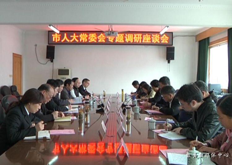 安徽歙縣最新動態(tài)，小巷深處的驚喜