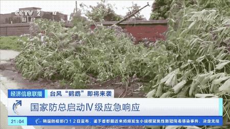 超強(qiáng)臺(tái)風(fēng)鸚鵡來襲，最新路徑動(dòng)態(tài)全解析???