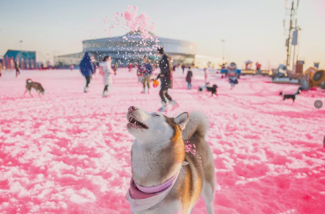 小信的世界最新科技前沿產(chǎn)品亮相，生活變革從此刻啟程